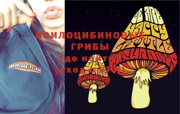 дмт Заволжск
