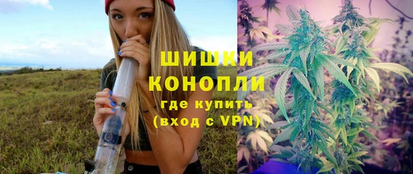 PSILOCYBIN Каменка