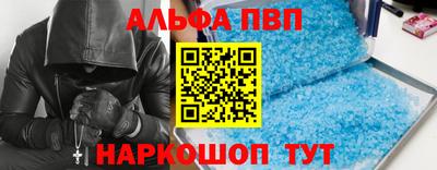 СК Бийск