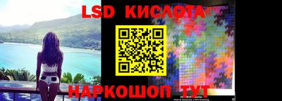 СК Бийск