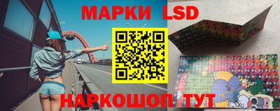 СК Бийск