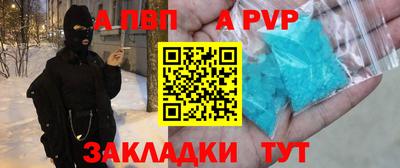 СК Бийск