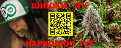 СК Бийск