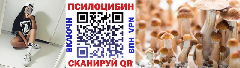 Галлюциногенные грибы Psilocybine cubensis  мориарти наркотические препараты  Видное 