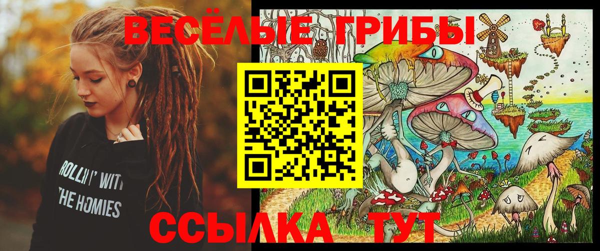 Псилоцибиновые грибы мицелий  Вход с VPN  Видное  Галлюциногенные грибы Psilocybine cubensis 